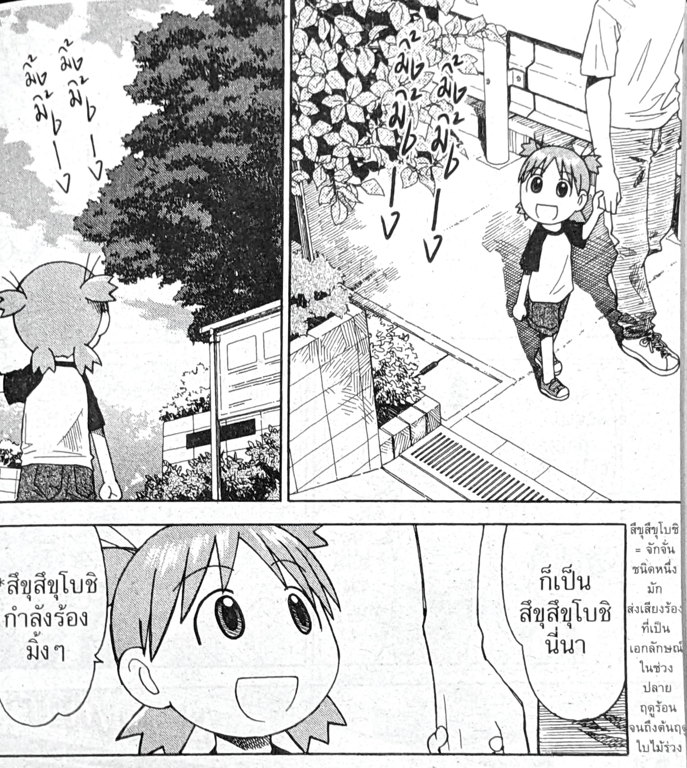 つくつくぼーし（タイ語）