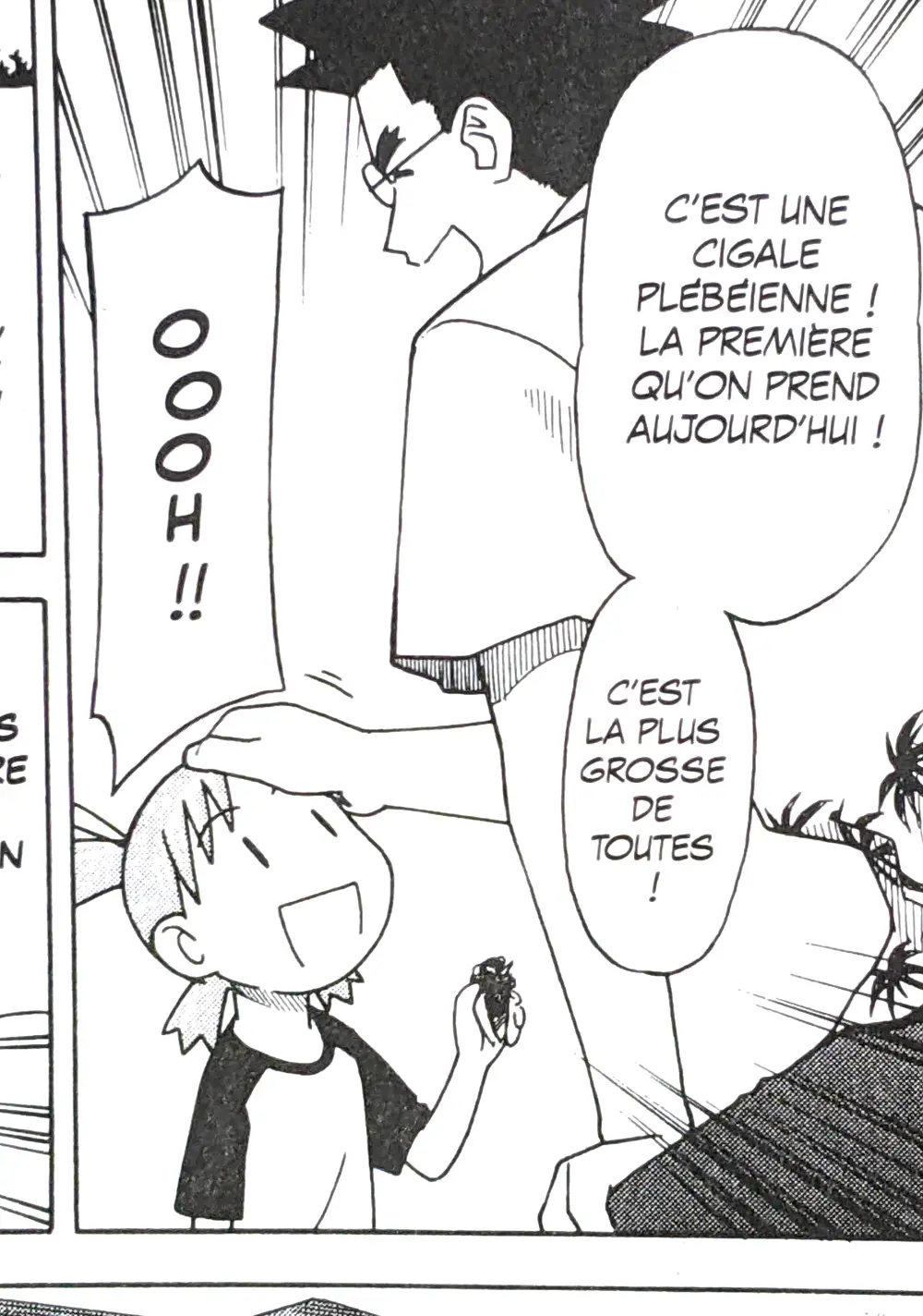 クマゼミ（フランス）