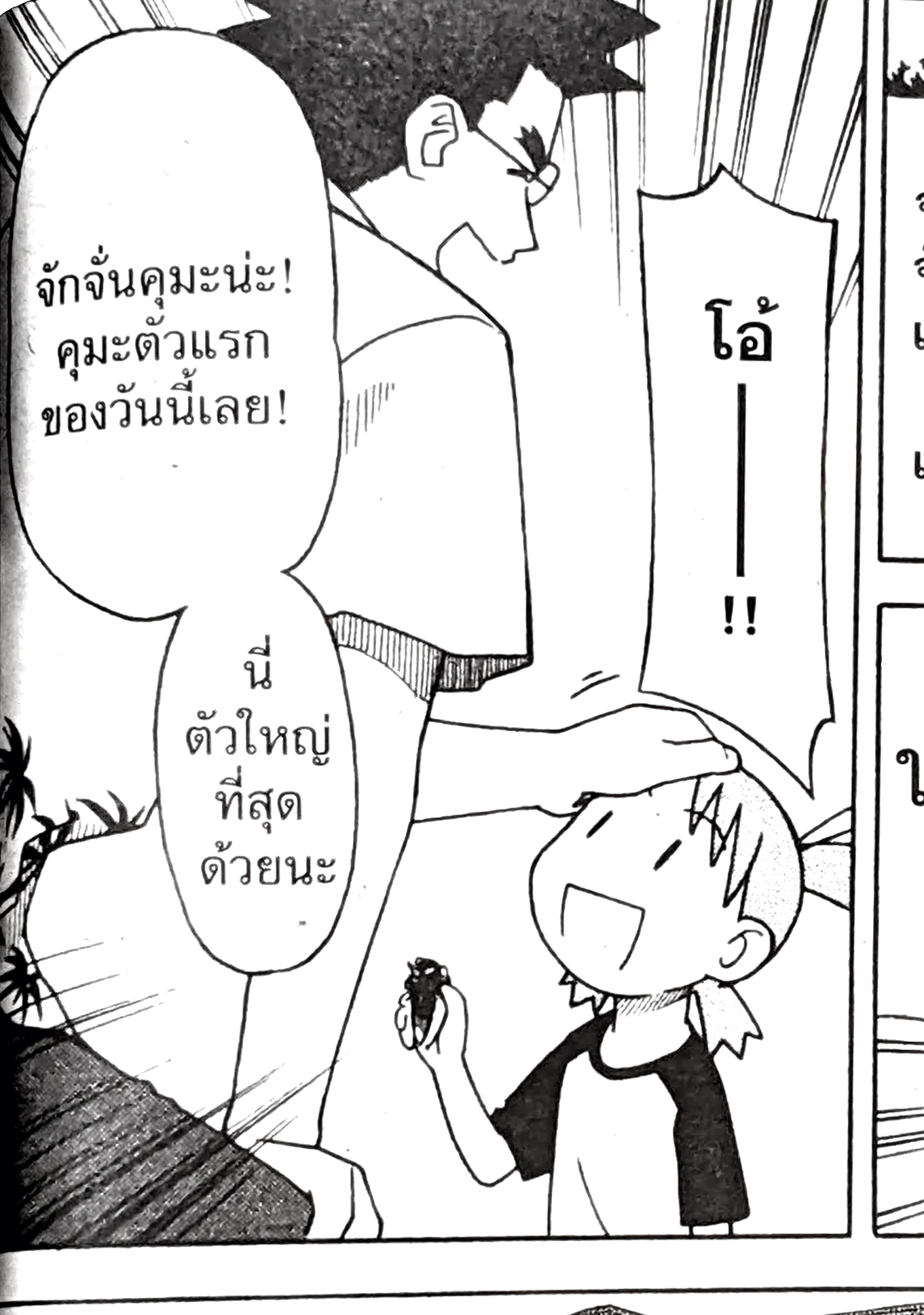 クマゼミ（タイ語）