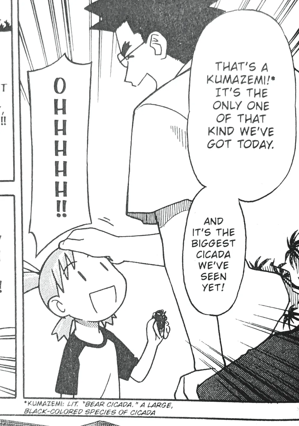 クマゼミ（英語）